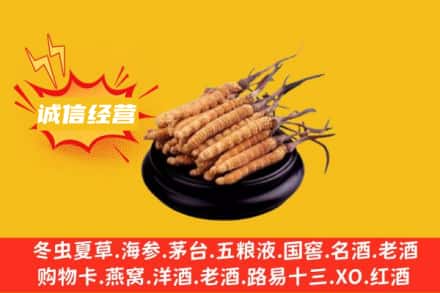 无锡梁溪区回收冬虫夏草